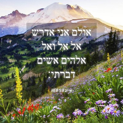 Picture 04 - איוב 5:8 HEB - אולם אני אדרש אל אל ואל - Bible Verse Picture