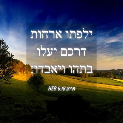 Picture 04 - איוב 6:18 HEB - ילפתו ארחות דרכם יעלו בתהו - Bible Verse Picture