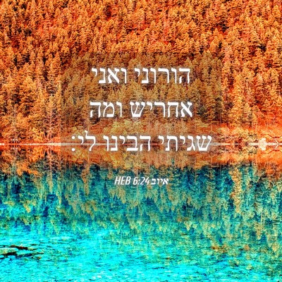 Picture 04 - איוב 6:24 HEB - הורוני ואני אחריש ומה - Bible Verse Picture