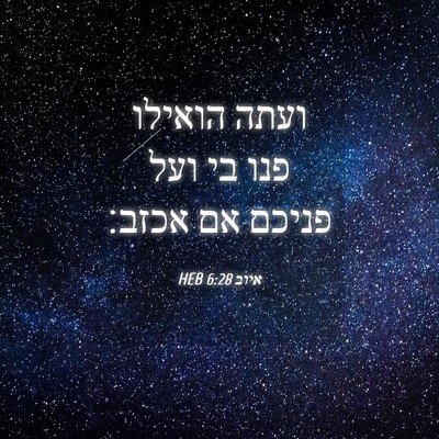 Picture 04 - איוב 6:28 HEB - ועתה הואילו פנו בי ועל - Bible Verse Picture
