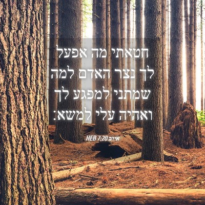 Picture 04 - איוב 7:20 HEB - חטאתי מה אפעל לך נצר האדם - Bible Verse Picture