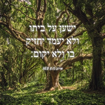 Picture 04 - איוב 8:15 HEB - ישען על ביתו ולא יעמד יחזיק - Bible Verse Picture