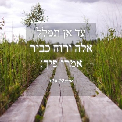 Picture 04 - איוב 8:2 HEB - עד אן תמלל אלה ורוח כביר - Bible Verse Picture