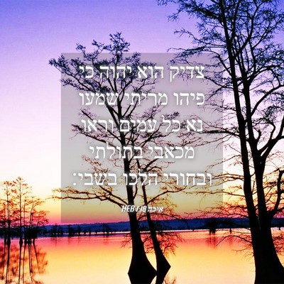 Picture 04 - איכה 1:18 HEB - צדיק הוא יהוה כי פיהו מריתי - Bible Verse Picture