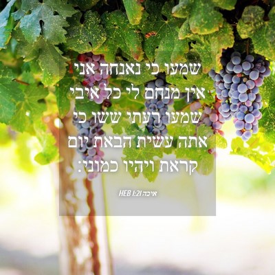 Picture 04 - איכה 1:21 HEB - שמעו כי נאנחה אני אין מנחם - Bible Verse Picture