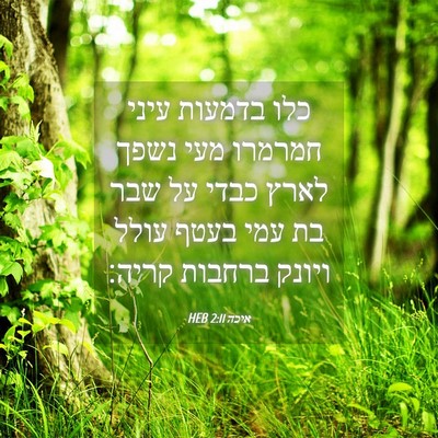 Picture 04 - איכה 2:11 HEB - כלו בדמעות עיני חמרמרו מעי - Bible Verse Picture