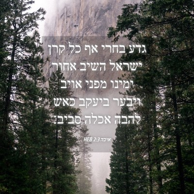 Picture 04 - איכה 2:3 HEB - גדע בחרי אף כל קרן ישראל - Bible Verse Picture