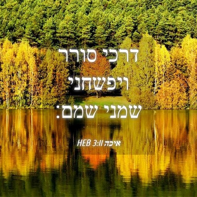 Picture 04 - איכה 3:11 HEB - דרכי סורר ויפשחני שמני - Bible Verse Picture