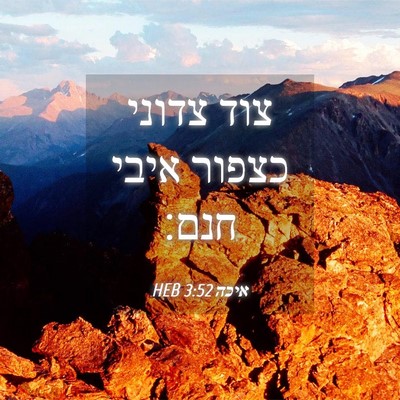 Picture 04 - איכה 3:52 HEB - צוד צדוני כצפור איבי - Bible Verse Picture