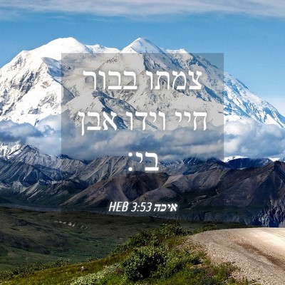 Picture 04 - איכה 3:53 HEB - צמתו בבור חיי וידו אבן - Bible Verse Picture