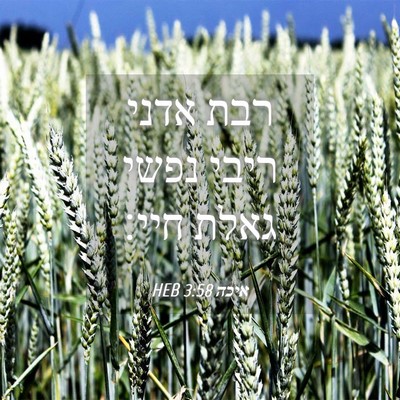 Picture 04 - איכה 3:58 HEB - רבת אדני ריבי נפשי גאלת - Bible Verse Picture