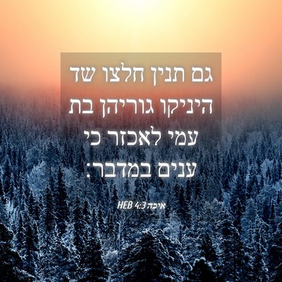 Picture 04 - איכה 4:3 HEB - גם תנין חלצו שד היניקו - Bible Verse Picture