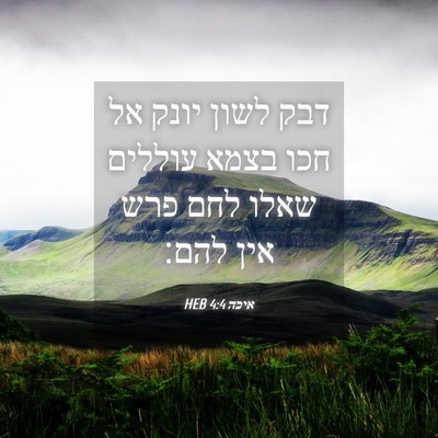 Picture 04 - איכה 4:4 HEB - דבק לשון יונק אל חכו בצמא - Bible Verse Picture