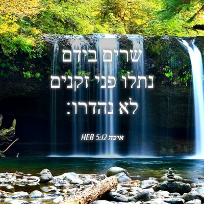 Picture 04 - איכה 5:12 HEB - שרים בידם נתלו פני זקנים לא - Bible Verse Picture
