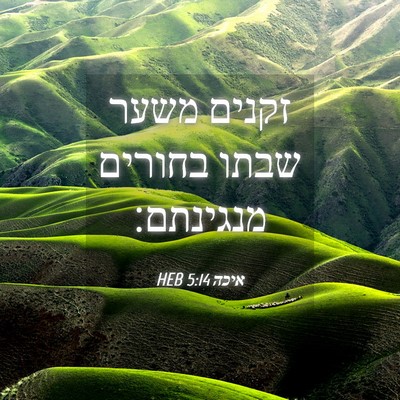 Picture 04 - איכה 5:14 HEB - זקנים משער שבתו בחורים - Bible Verse Picture