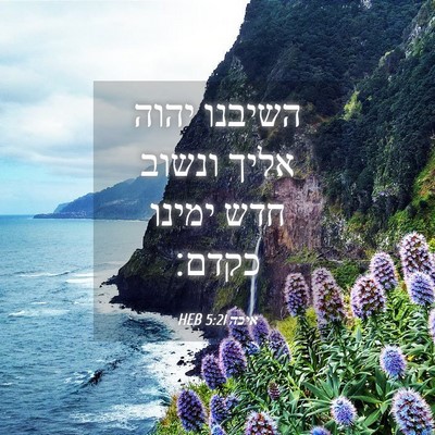 Picture 04 - איכה 5:21 HEB - השיבנו יהוה אליך ונשוב חדש - Bible Verse Picture