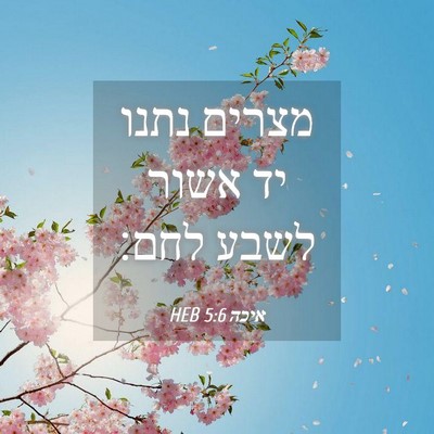 Picture 04 - איכה 5:6 HEB - מצרים נתנו יד אשור לשבע - Bible Verse Picture