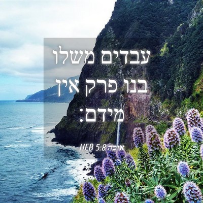 Picture 04 - איכה 5:8 HEB - עבדים משלו בנו פרק אין - Bible Verse Picture