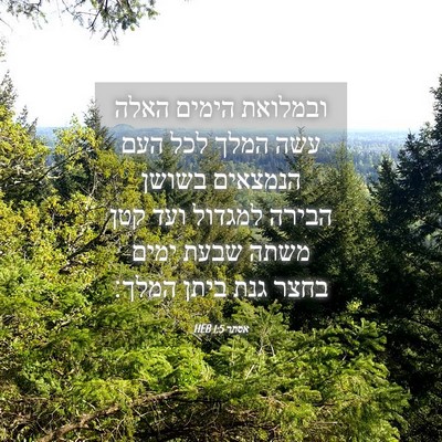 Picture 04 - אסתר 1:5 HEB - ובמלואת הימים האלה עשה - Bible Verse Picture