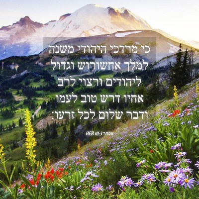 Picture 04 - אסתר 10:3 HEB - כי מרדכי היהודי משנה למלך - Bible Verse Picture