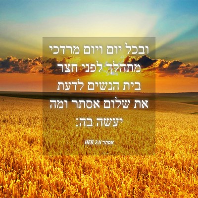 Picture 04 - אסתר 2:11 HEB - ובכל יום ויום מרדכי מתהלך - Bible Verse Picture