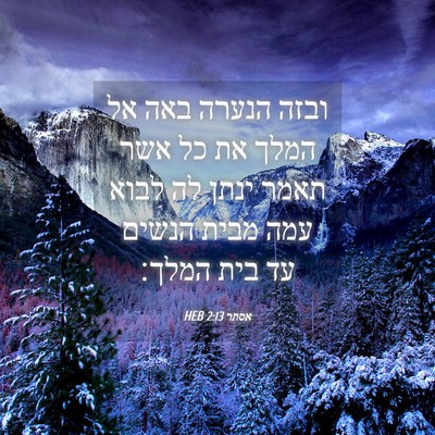Picture 04 - אסתר 2:13 HEB - ובזה הנערה באה אל המלך את - Bible Verse Picture