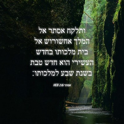 Picture 04 - אסתר 2:16 HEB - ותלקח אסתר אל המלך אחשורוש - Bible Verse Picture