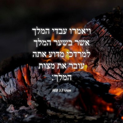 Picture 04 - אסתר 3:3 HEB - ויאמרו עבדי המלך אשר בשער - Bible Verse Picture