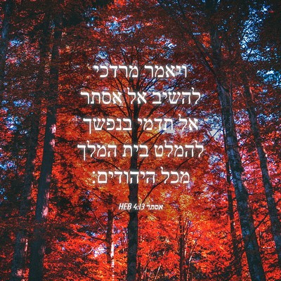 Picture 04 - אסתר 4:13 HEB - ויאמר מרדכי להשיב אל אסתר - Bible Verse Picture