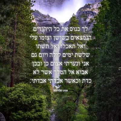Picture 04 - אסתר 4:16 HEB - לך כנוס את כל היהודים - Bible Verse Picture