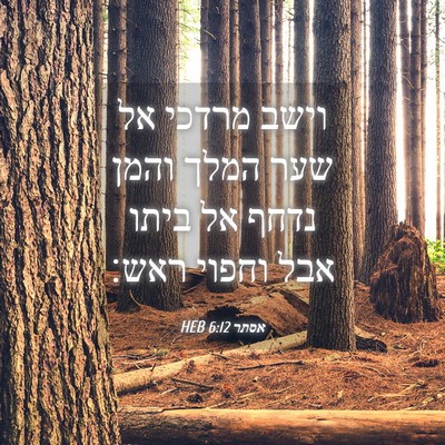 Picture 04 - אסתר 6:12 HEB - וישב מרדכי אל שער המלך והמן - Bible Verse Picture