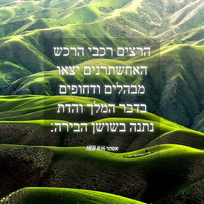 Picture 04 - אסתר 8:14 HEB - הרצים רכבי הרכש האחשתרנים - Bible Verse Picture