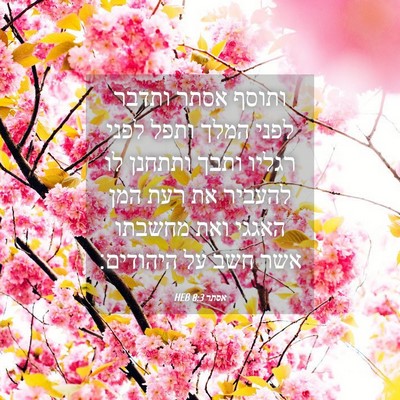 Picture 04 - אסתר 8:3 HEB - ותוסף אסתר ותדבר לפני המלך - Bible Verse Picture