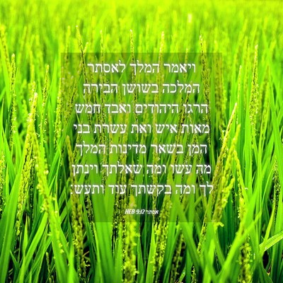 Picture 04 - אסתר 9:12 HEB - ויאמר המלך לאסתר המלכה - Bible Verse Picture