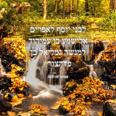 Picture 04 - במדבר 1:10 HEB - לבני יוסף לאפרים אלישמע בן - Bible Verse Picture