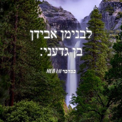 Picture 04 - במדבר 1:11 HEB - לבנימן אבידן בן - Bible Verse Picture