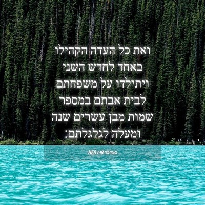 Picture 04 - במדבר 1:18 HEB - ואת כל העדה הקהילו באחד - Bible Verse Picture