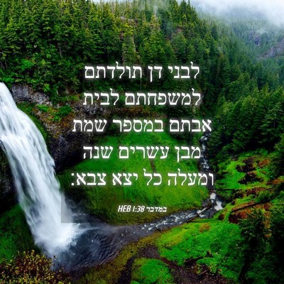 Picture 04 - במדבר 1:38 HEB - לבני דן תולדתם למשפחתם - Bible Verse Picture