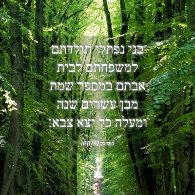 Picture 04 - במדבר 1:42 HEB - בני נפתלי תולדתם למשפחתם - Bible Verse Picture