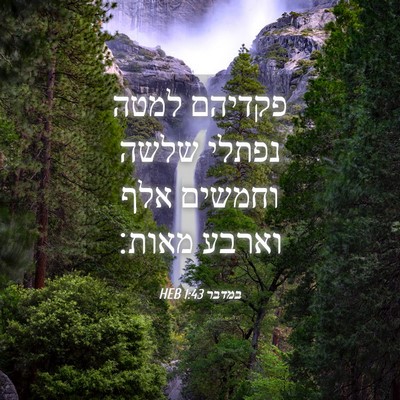 Picture 04 - במדבר 1:43 HEB - פקדיהם למטה נפתלי שלשה - Bible Verse Picture