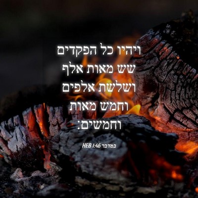 Picture 04 - במדבר 1:46 HEB - ויהיו כל הפקדים שש מאות אלף - Bible Verse Picture