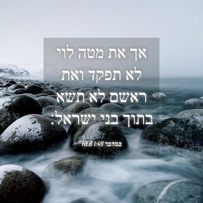 Picture 04 - במדבר 1:49 HEB - אך את מטה לוי לא תפקד ואת - Bible Verse Picture