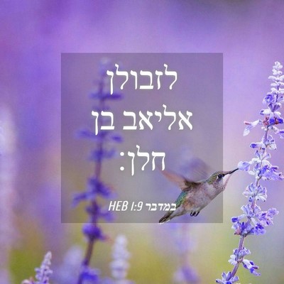 Picture 04 - במדבר 1:9 HEB - לזבולן אליאב בן - Bible Verse Picture