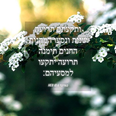 Picture 04 - במדבר 10:6 HEB - ותקעתם תרועה שנית ונסעו - Bible Verse Picture