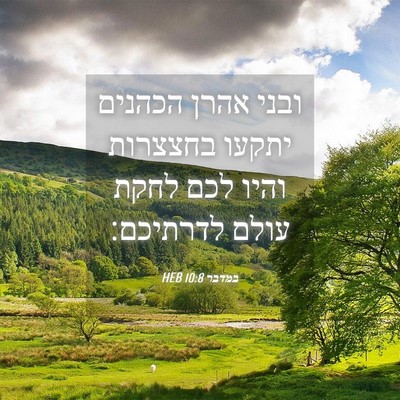 Picture 04 - במדבר 10:8 HEB - ובני אהרן הכהנים יתקעו - Bible Verse Picture