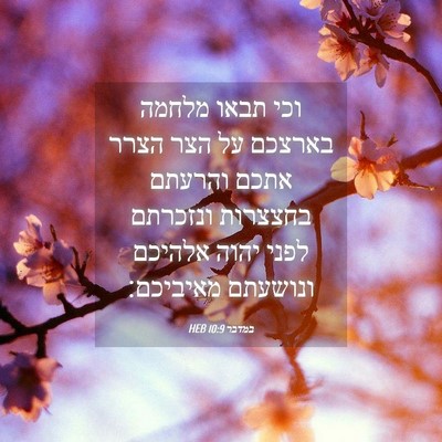 Picture 04 - במדבר 10:9 HEB - וכי תבאו מלחמה בארצכם על - Bible Verse Picture