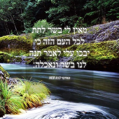 Picture 04 - במדבר 11:13 HEB - מאין לי בשר לתת לכל העם הזה - Bible Verse Picture