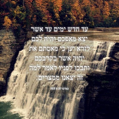 Picture 04 - במדבר 11:20 HEB - עד חדש ימים עד אשר יצא - Bible Verse Picture