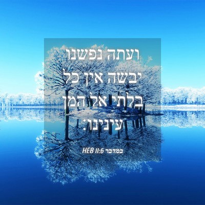Picture 04 - במדבר 11:6 HEB - ועתה נפשנו יבשה אין כל בלתי - Bible Verse Picture