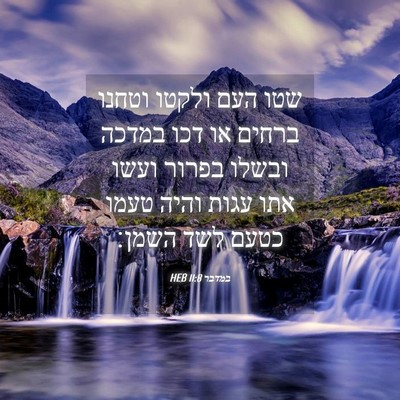 Picture 04 - במדבר 11:8 HEB - שטו העם ולקטו וטחנו ברחים - Bible Verse Picture